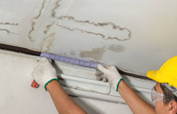 Reliable Sewage Cleanup contractor in McComb, OH by Water Damage Irwin